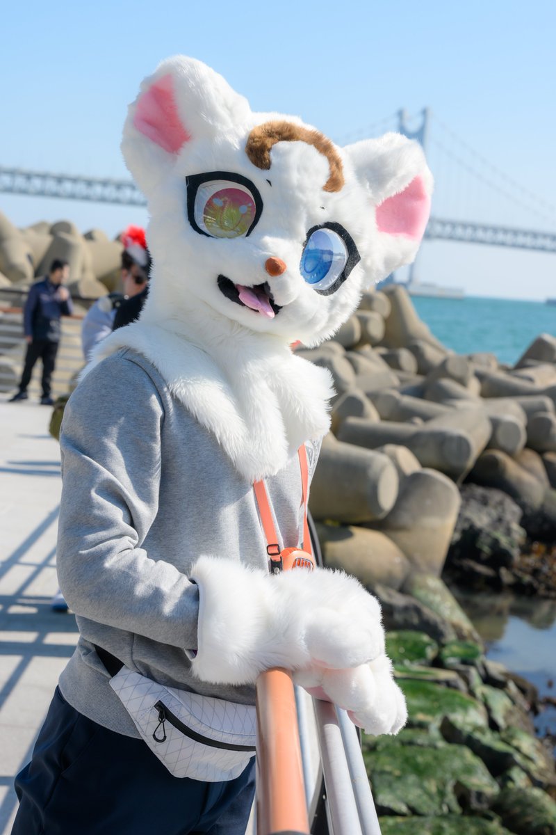 #FursuitFriday 
겨울바다의 추억