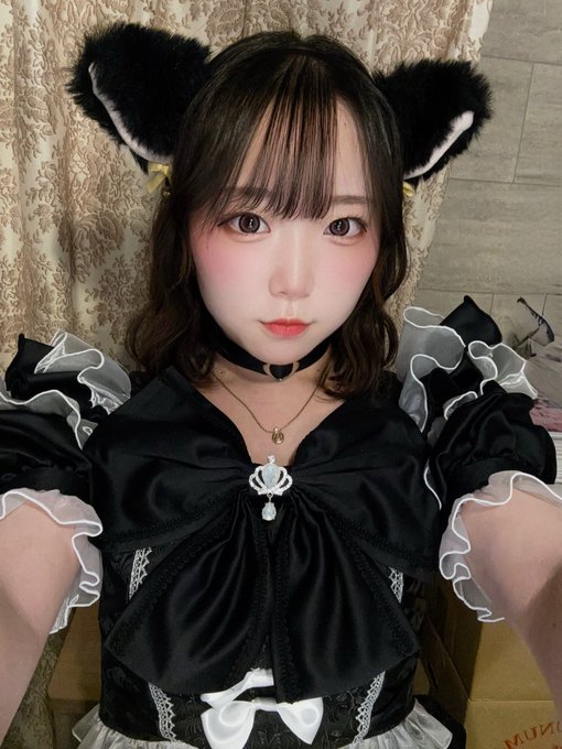 みゃおみゃお 秋葉原 コンカフェ ＆ メイドカフェのツイート