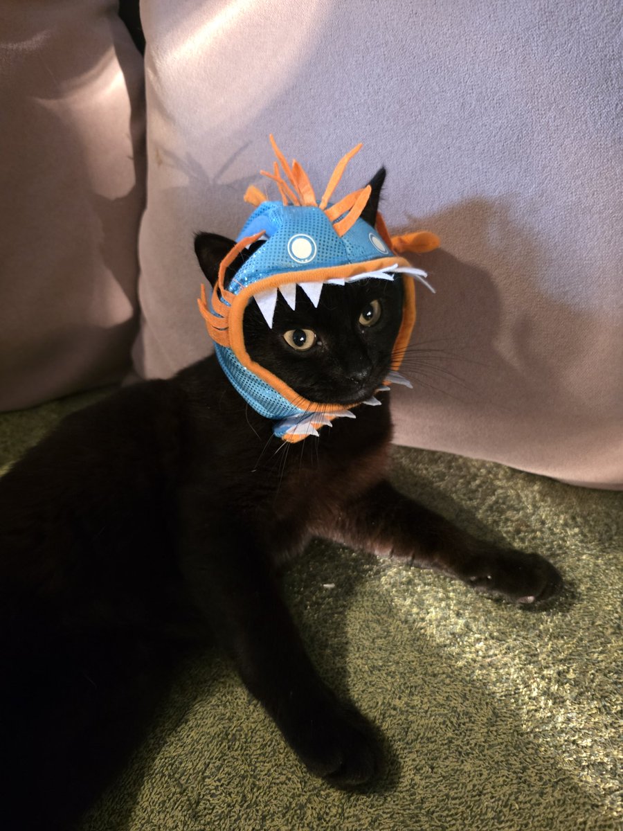 tatertot🧡 aragorn💙 crowley 💜 tweet media