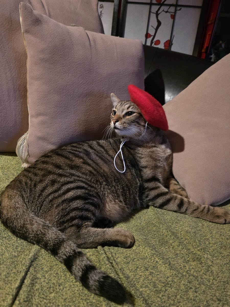 tatertot🧡 aragorn💙 crowley 💜 tweet media