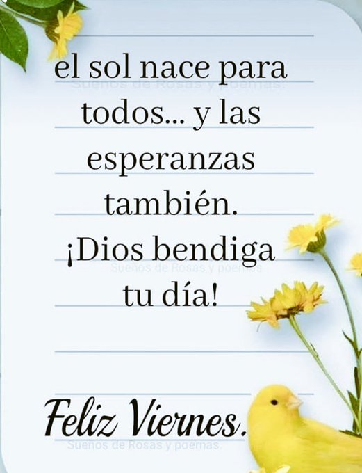 A light blue background with green leaves and several yellow flowers arranged around the edges. Centered text reads el sol nace para todos... y las esperanzas también in black font. Below it, ¡Dios bendiga tu día! in bold black. At the bottom, Feliz Viernes in elegant cursive font. A small yellow bird perches near the bottom right among the flowers.