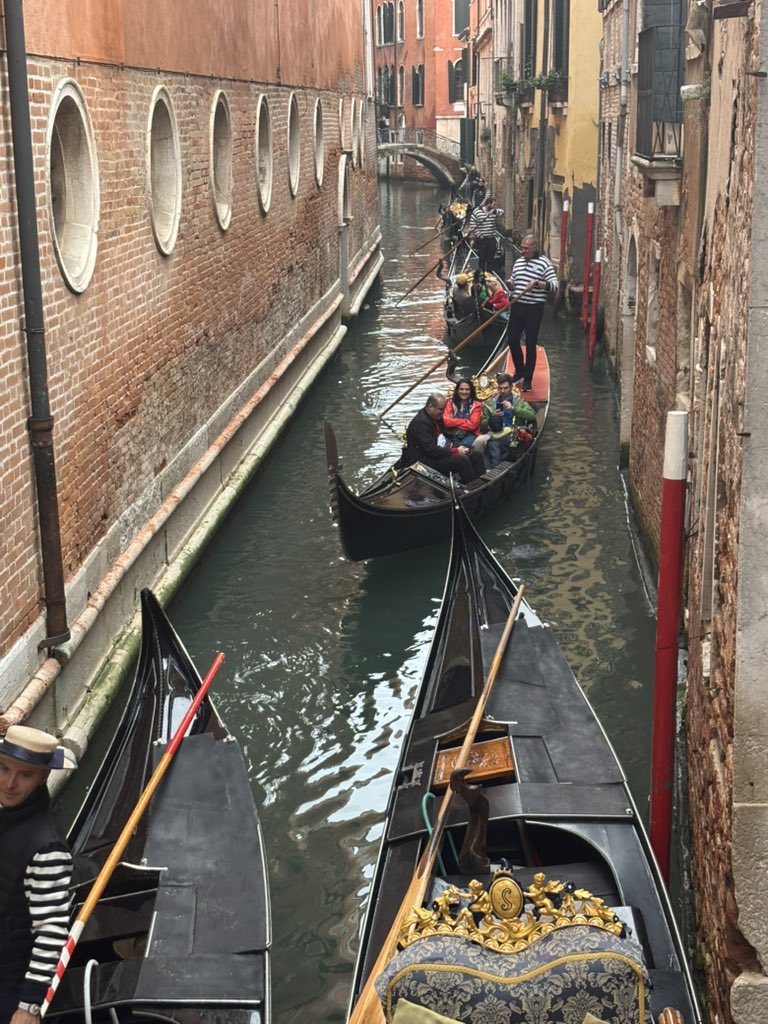 Curtis Chase tweet media