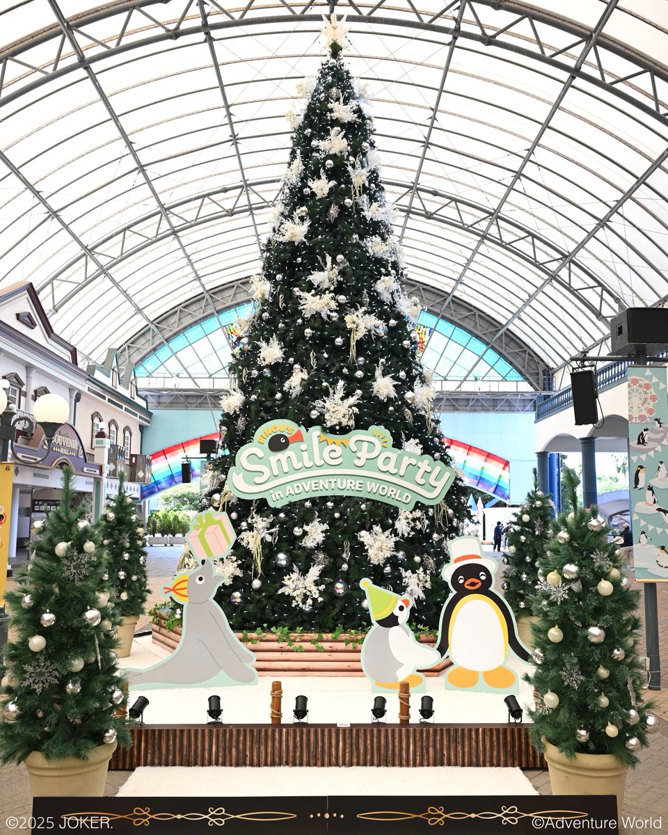 アドベンチャーワールドではクリスマスツリーが登場🎄✨

12/25(木)までの特別展示です🎅💕
キラキラ輝くツリーと、ピングー・ピンガ・ロビと一緒に記念撮影📸🎵
思い出の1枚を撮って、クリスマスシーズンをお楽しみください🐧⭐️

【PINGU™ʼs SMILE PARTY in ADVENTURE WORLD】