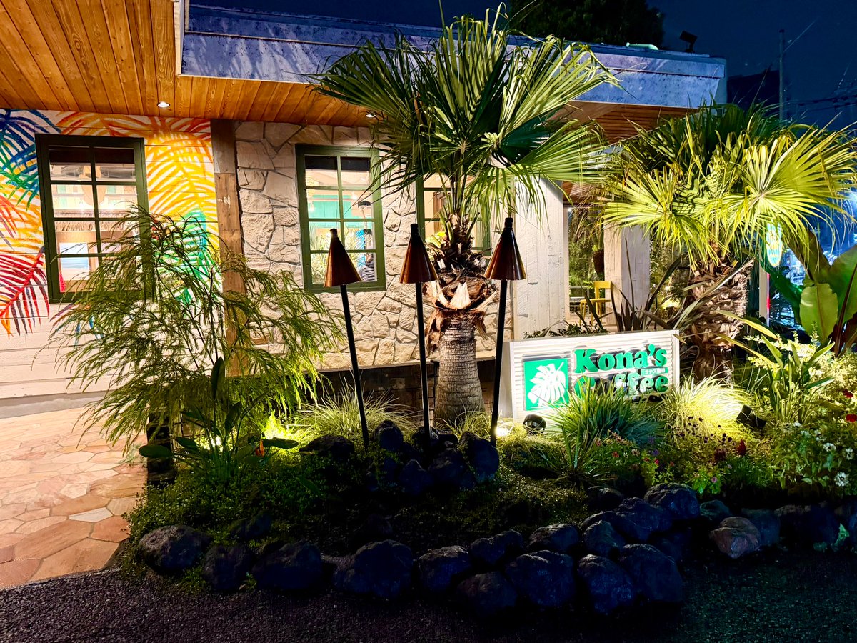 まぁくん™ (@MODEL3PLAID) / Posts / X