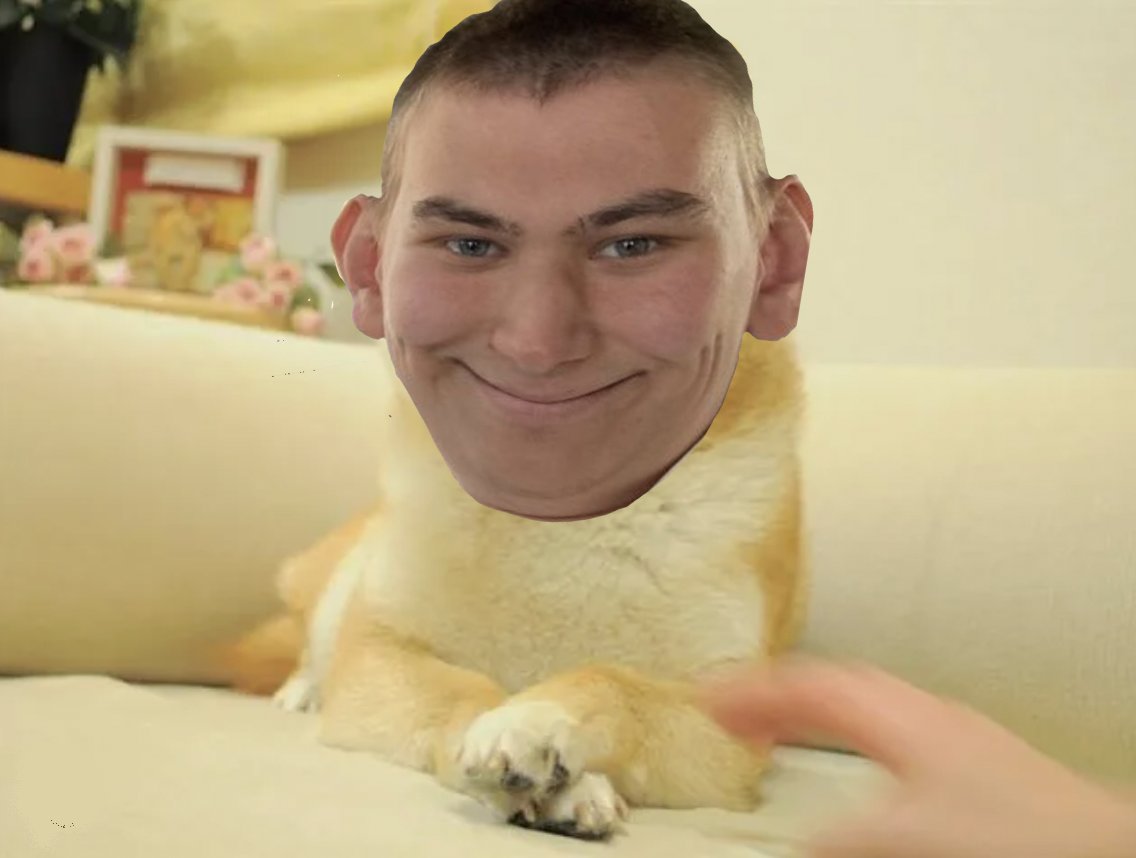 <a href="/thesminemverse/">Sminem</a> dog likes you