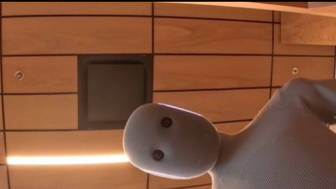 Dear horizontal place, I do not wish to be a rug.
Do not pull at the difficult head, this teetering
bulb of dread and dream . . .