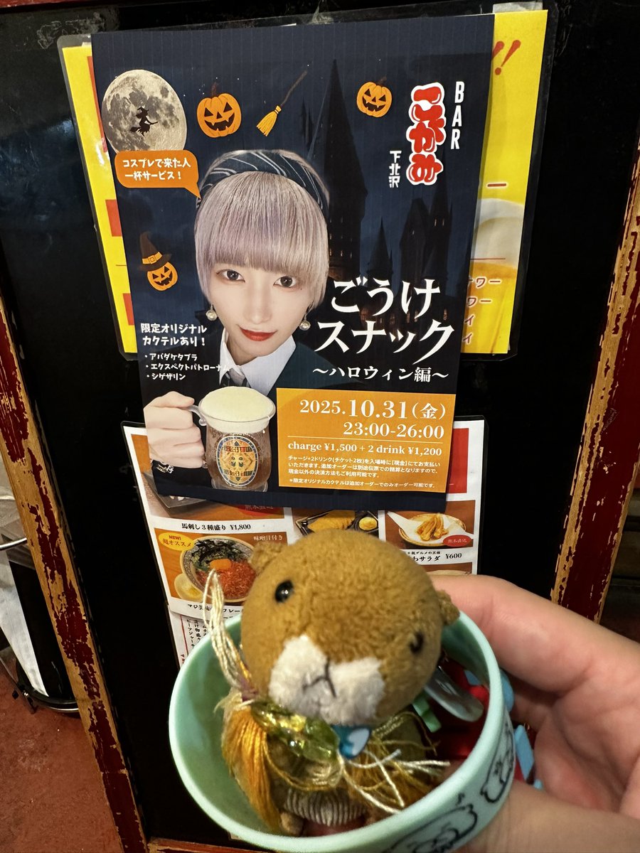 ☆新品☆ 激っ可愛ゎ♪BEAR/ ベア♡【特殊編みジャカード・ニットわんぴー❕】 🥘🎽おぞうに🐧🥘 (@ozoni_tabenai) / Posts / X