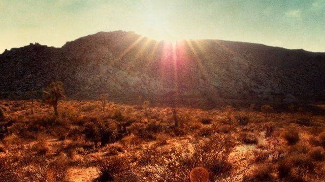 atyourfuneral's tweet image. #nsntwt #paramoretwt #fobtwt 🪲🧡
ifb all
15 minutes old
21+ dni &amp;amp; general dni
mcr  8/13
#promotwt #moothunting