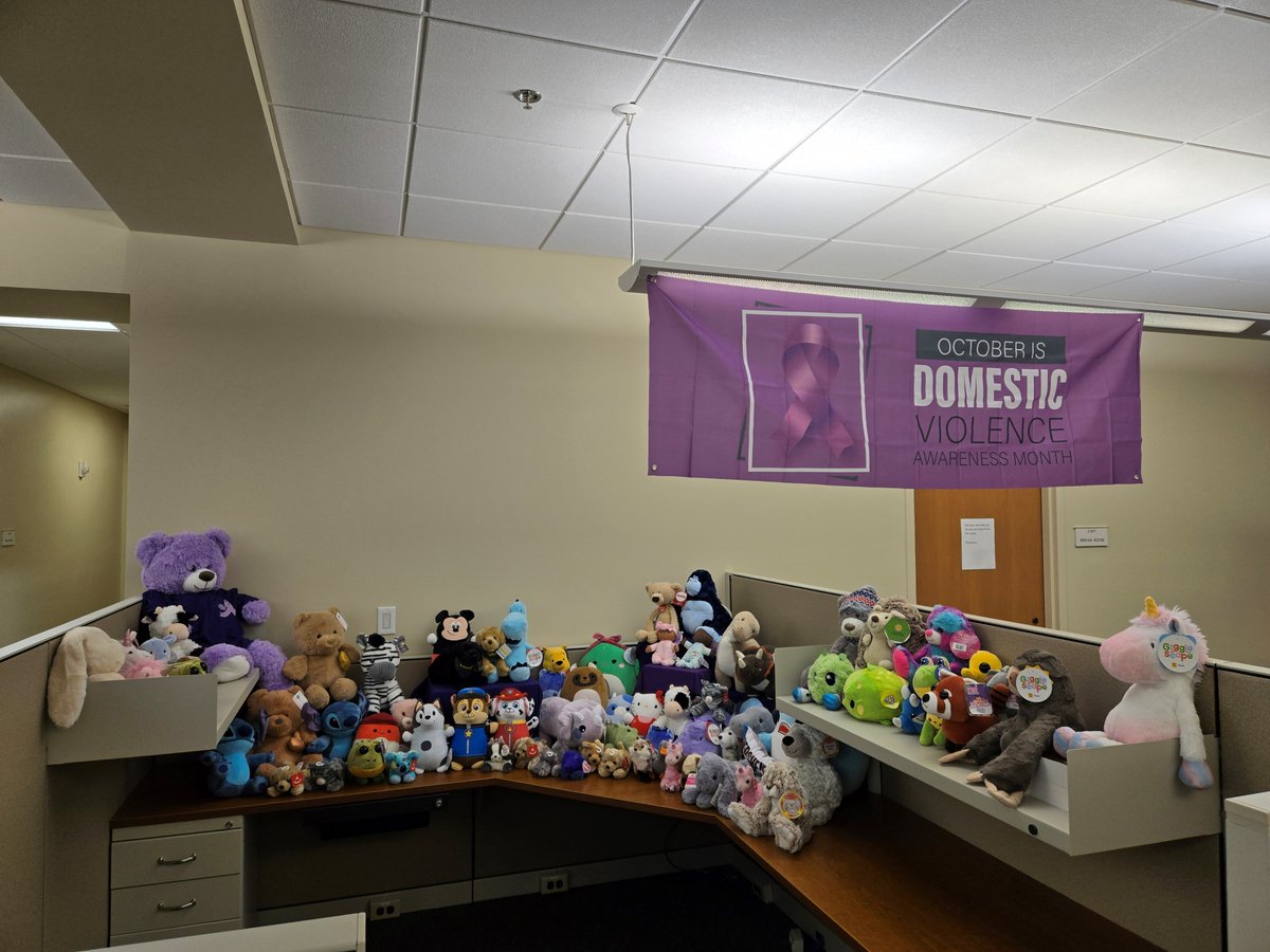 The month of October is designated as #DomesticViolenceAwarenessMonth, and the employees of the Lake County Clerk’s Office worked throughout the month to raise awareness and gather stuffed animals for local children affected by domestic abuse.