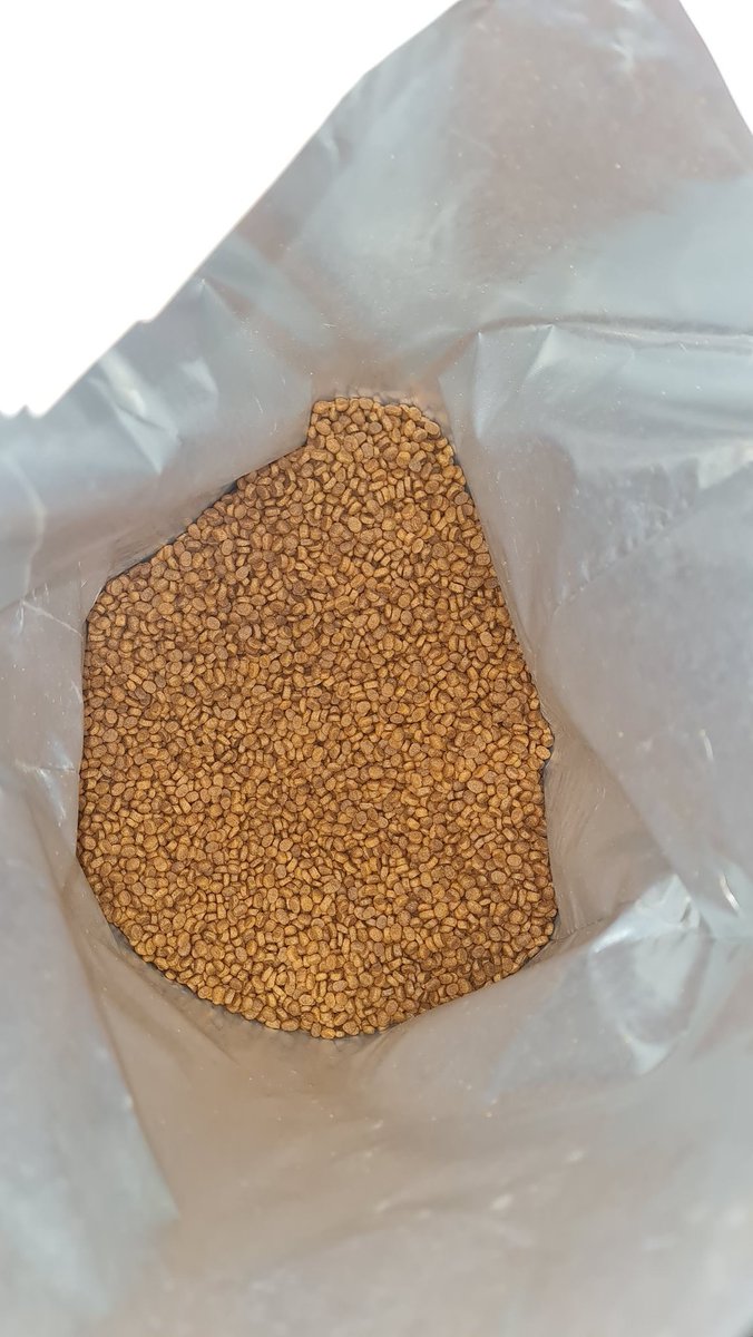 🚨🚨EVIL PEOPLE🚨🚨These people are trying to steal our monthly help for supplies.
This account is FAKE
<a href="/catswjthnohope/">CWNH - Cats With No Hope Rescue 💙</a>
See the spelling

Help is VERY LOW for the month, i hope &amp; pray its.  not  sent to the fake account.
November is a very important month for supply help. The