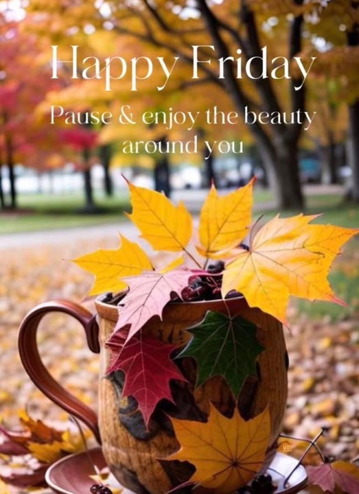 _TheAnswerKey's tweet image. #HappyFriday &amp;amp; #HappyHalloween!🎃 It's a great day to have a great day! For more positive posts stop by fb.me/TheAnswerKey &amp;amp; tweet me   @_TheAnswerKey daily!