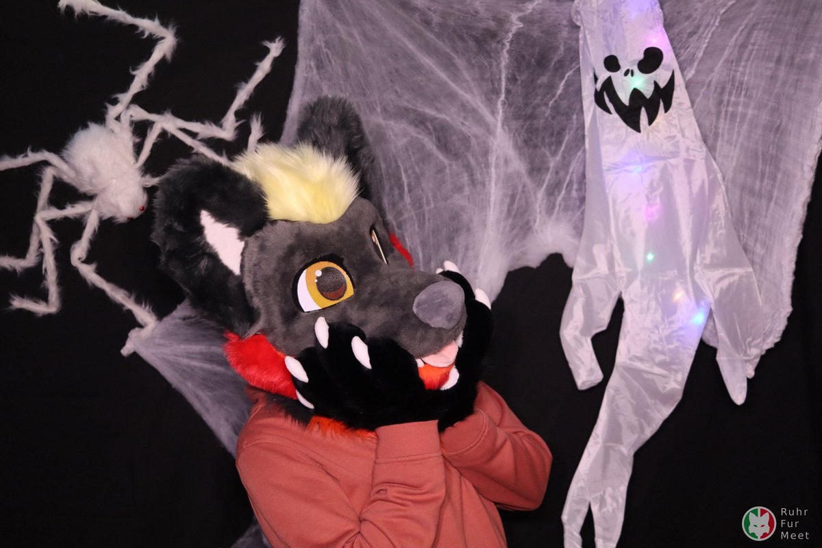 This #FursuitFriday happens to be the spookiest day of Spooky Month, so don't get spooked like I did 🙈

Happy Halloween everyone :3

🧵<a href="/VarrosCreations/">Varro's Creations</a>