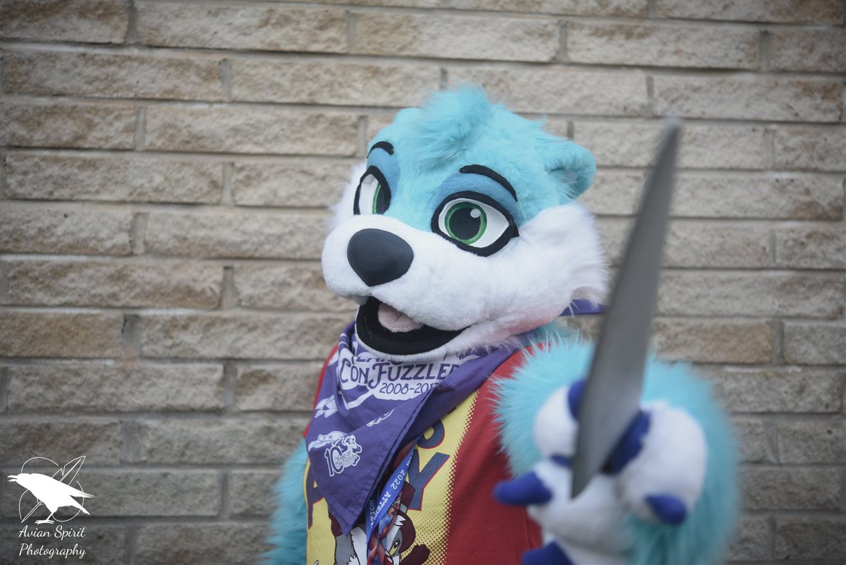 Happy Halloween everyone! 🎃 
Careful though as you may come across an otter with a knife 🔪 
#FursuitFriday
📸 <a href="/spiritavian/">Avian Spirit Photography</a> 
🪡 <a href="/JawsNpawsUK/">JawsandPaws_UK</a>