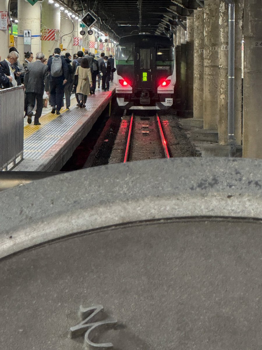 ooseno7100's tweet image. E257系　特急あかぎ1号とのこと。