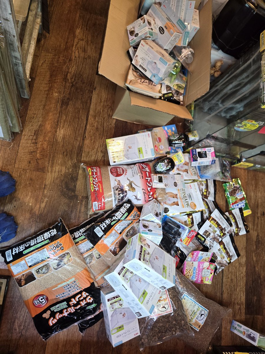 爬虫類専門店【𝙳𝙸𝚉𝚉𝚈 𝙿𝙾𝙸𝙽𝚃】東京第002225 on X