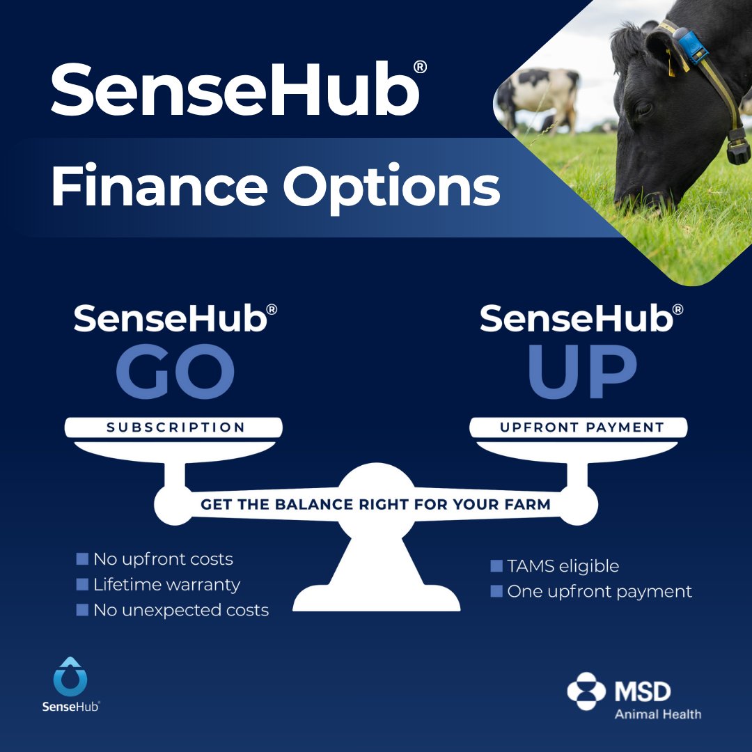 Ready to #FarmWithMoreFreedom? 

Discover our SenseHub finance options!📱Opt for either subscription or upfront payment.

It makes sense to choose SenseHub. Join the SenseHub Community today👉 ie.sensehub.com/contact/ 

#SenseHub #DairyFarming