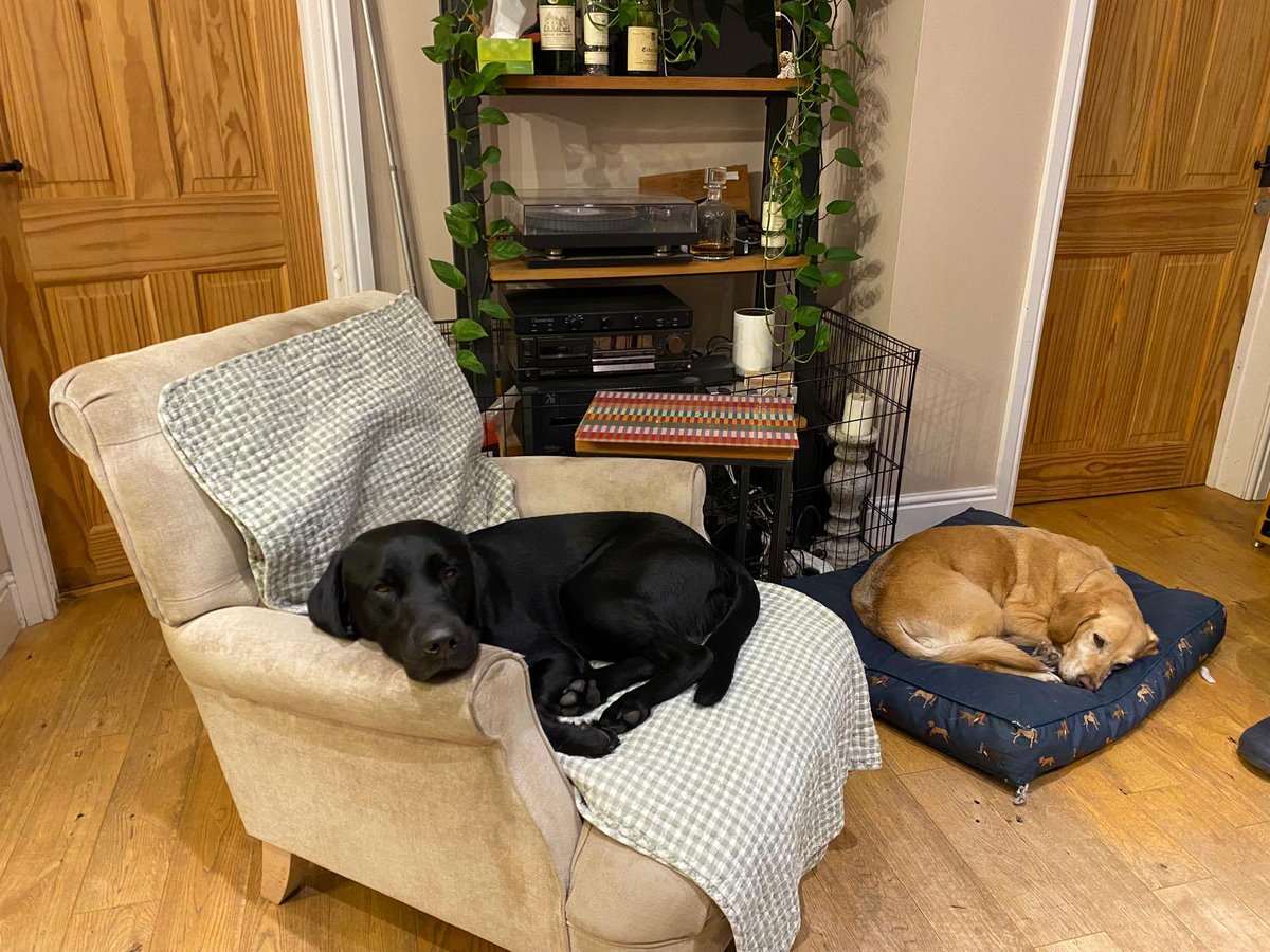 Dinan Gunawardena tweet media