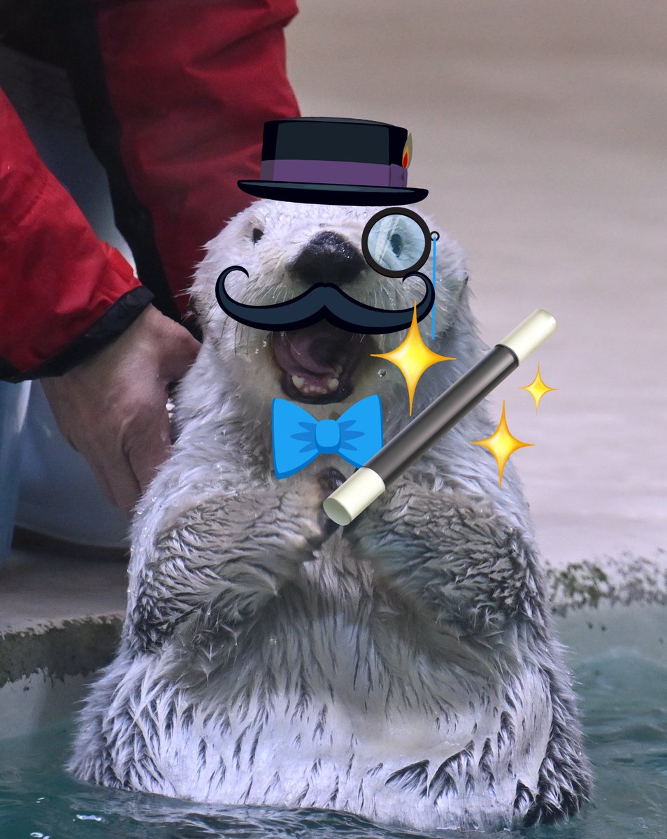 ジェントルメイ「Happy Halloween！」

#ラッコ
#ラッコのメイちゃん
#鳥羽水族館
#ハロウィン