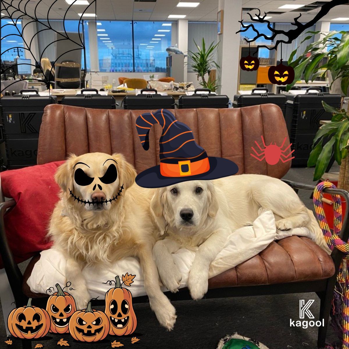 Our Chief Happiness Officers are back with one message: Happy Halloween! 👻

Wishing our customers, partners, employees &amp; their families a spooktacular weekend! 🎃🧡 #HappyHalloween #TeamKagool