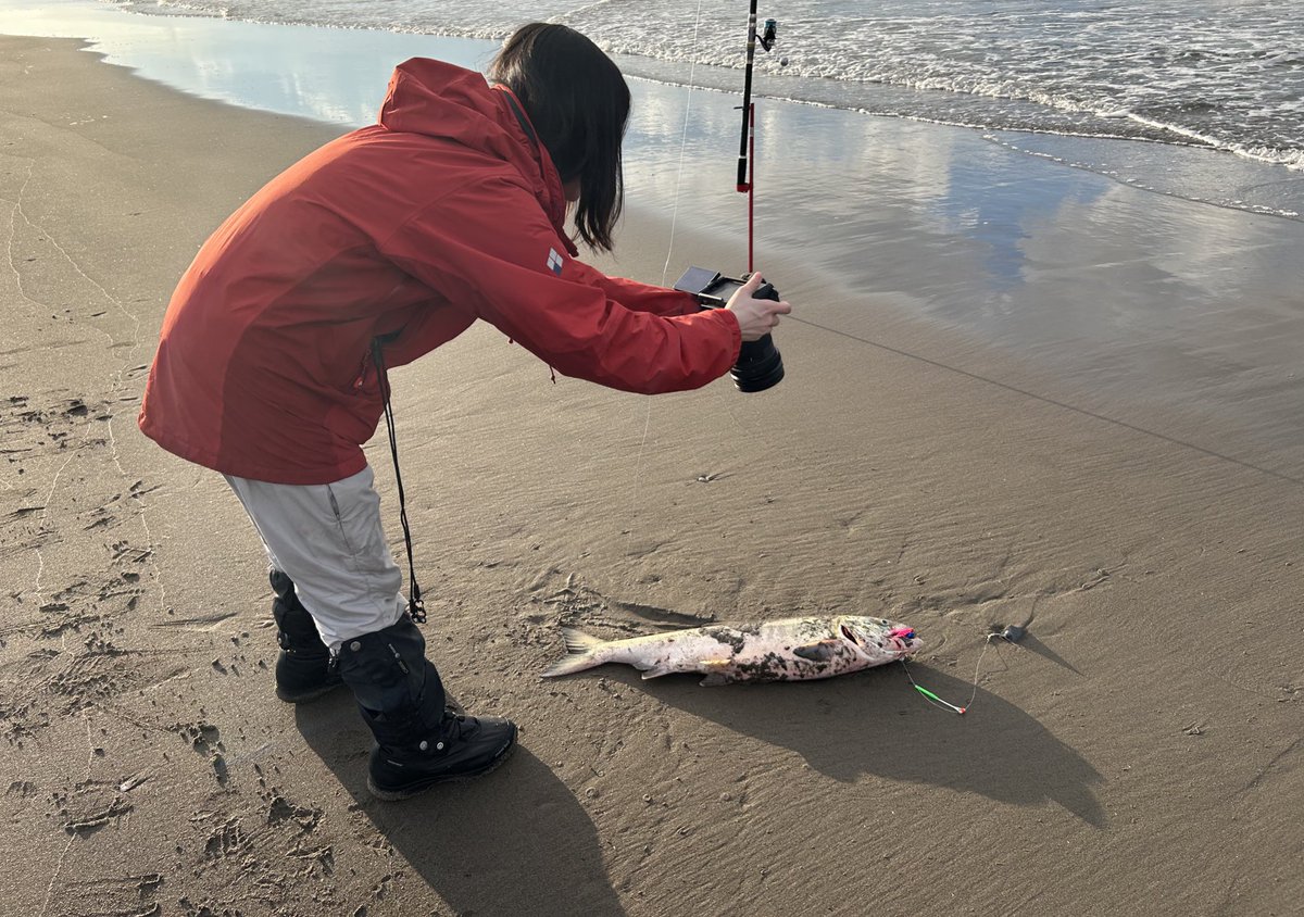 zetairyoiki_p's tweet photo. りんちゃんと鮭釣り行ってきました🐟
@rinninniku 

貧困女子と知床で鮭釣って食べる
https://t.co/rfhDgwfIjQ https://t.co/fg46WYEH15