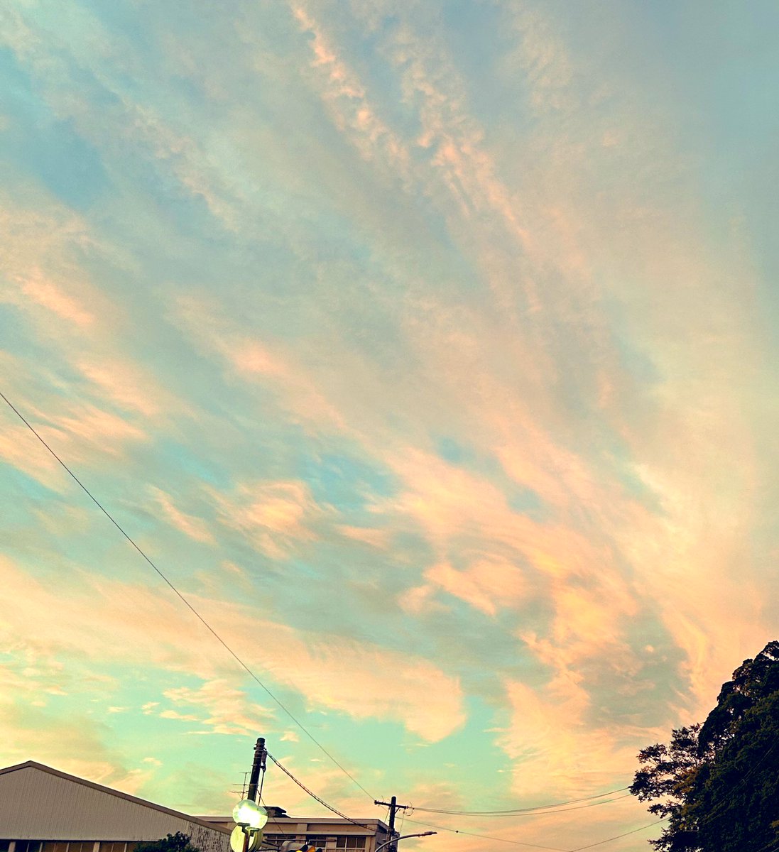 昨日の空がモネの絵みたいで思わず📷った🖼️