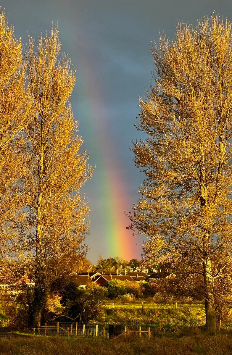 's tweet image. Is there such a thing of the perfect capture, well this is close 🌈🍂

📍Co. Armagh, Éire 🇮🇪

📸 Glen Calvert

#Armagh #Rainbow #Ireland #Perfection