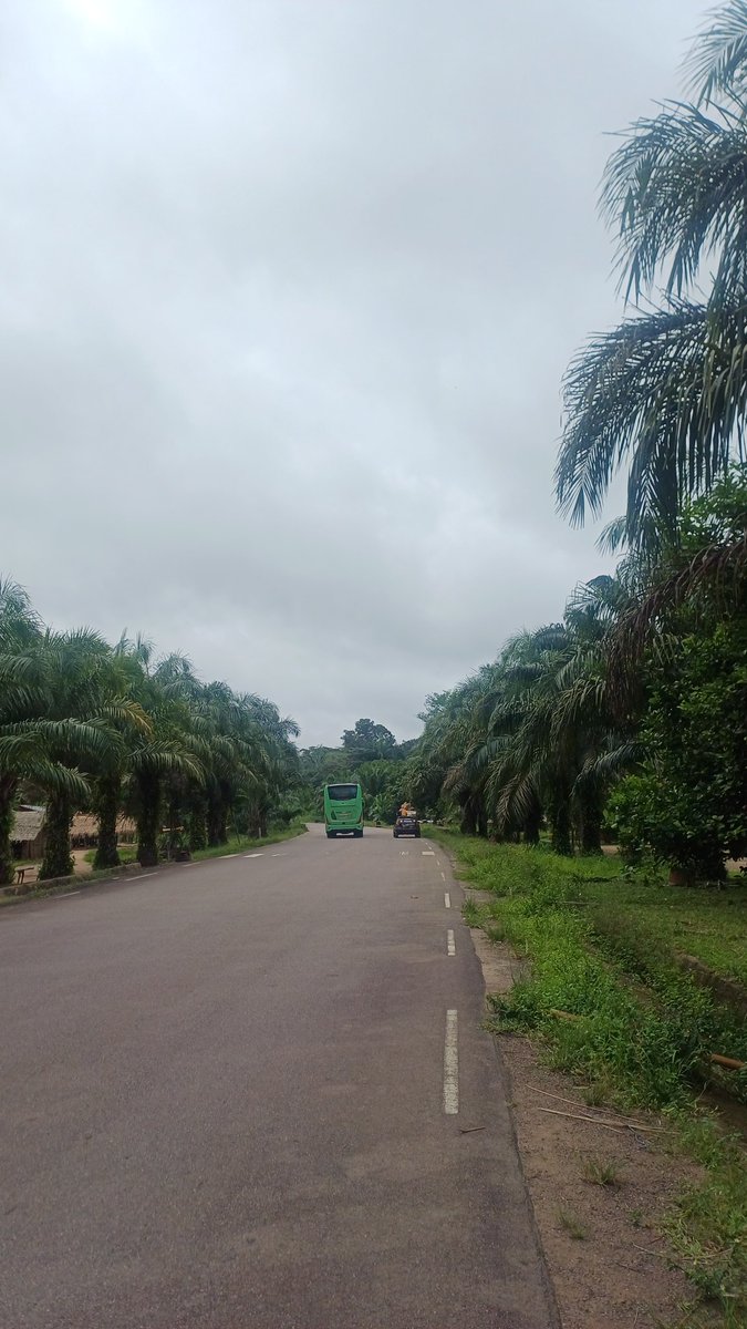 Z buta dookoła Świata tweet media