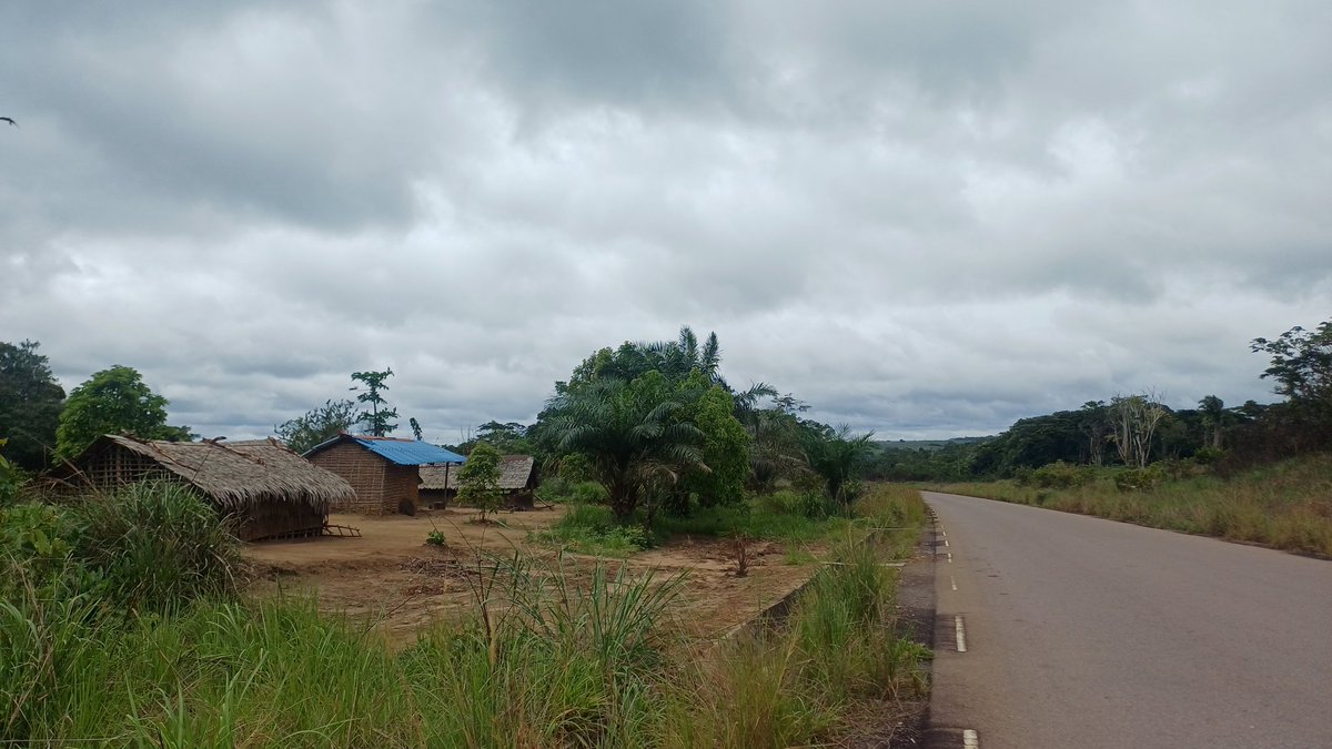 Z buta dookoła Świata tweet media