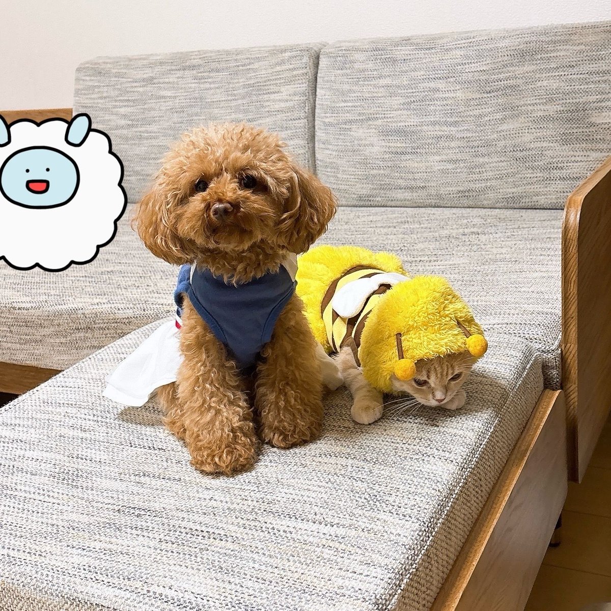 koki_develop's tweet image. ハッピーハロウィン