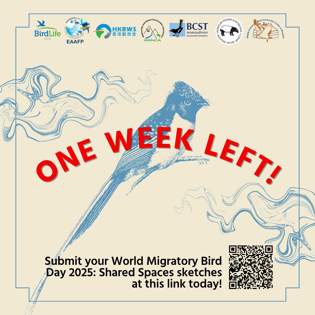 EAAFP's tweet image. ⌚️ Hurry! Time is running out to submit your sketches!

🏆 Winning submissions have the chance to be featured in the #BirdLife Magazine, and receive 1-10 prize packs provided by BirdLife Partners and Cornell Lab of Ornithology.

Submit via QR. Full T&amp;amp;Cs in comments.