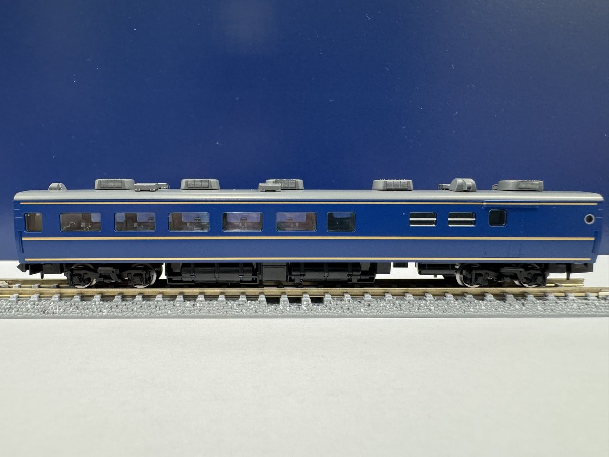 落葉樹 TOMO ボトルツリー (ブラキキトン)細葉 I インドアプランツ I プラント