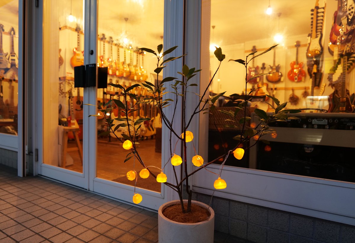 oldbridge_jp's tweet image. 11月 定休日 3、10、17、24日
※ 15日(土)は16時までの営業になります。

明日11月1日(土) 『土曜はナニする！？ 』
フジテレビ系全国ネット 午前8:30～10:25 
みかんくんの勇姿を是非ご覧ください😺✨

買取・下取り・委託販売もご相談ください。
ギター類、続々入荷中です！
oldbridge.jp