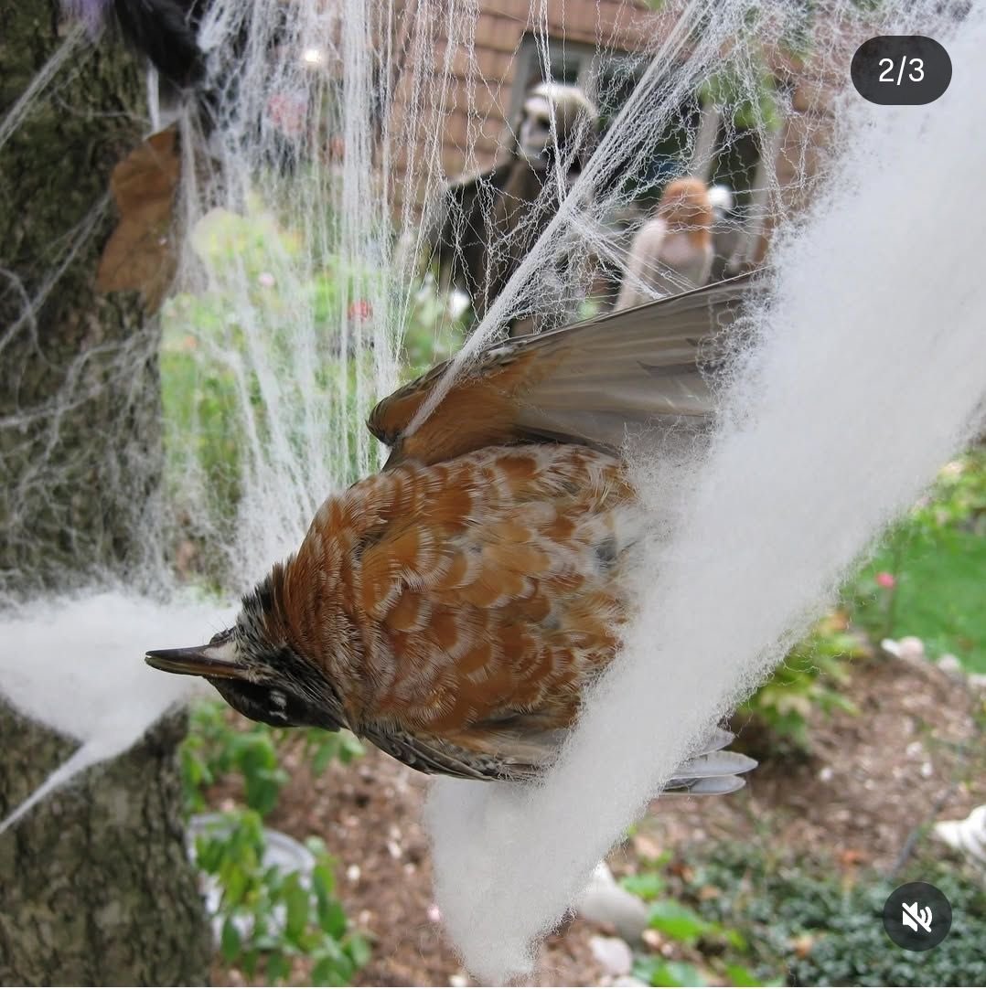 West Midlands Ringing Group tweet media