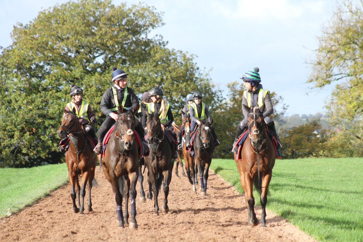 Five runners today 

Queensland Boy goes <a href="/Southwell_Races/">Southwell Racecourse</a> (4.10) under <a href="/ryankavanagh01/">Ryan kavanagh</a> who later rides Tonal for <a href="/sue_howell14/">Sue Howell</a> 

Dyonisos under <a href="/HollieDoyle1/">Hollie Doyle</a> runs <a href="/Southwell_Races/">Southwell Racecourse</a> where <a href="/PMulrennan/">Paul Mulrennan</a> rides Supido (7.15)

Jodhpur Blue goes <a href="/NewmarketRace/">Newmarket Racecourse</a> under <a href="/bishopcharlie12/">Charlie Bishop</a>