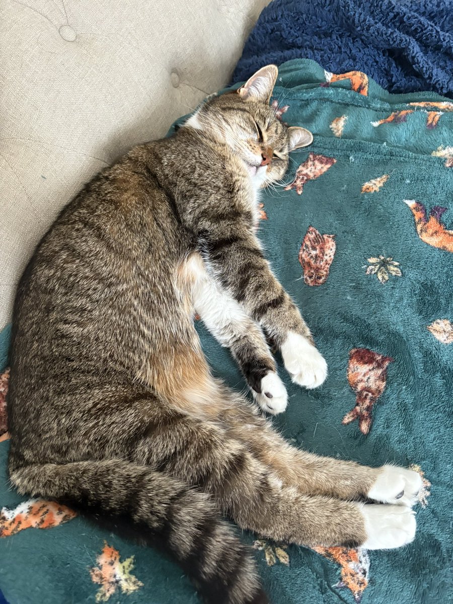 Lucy 🇪🇺💙 tweet media