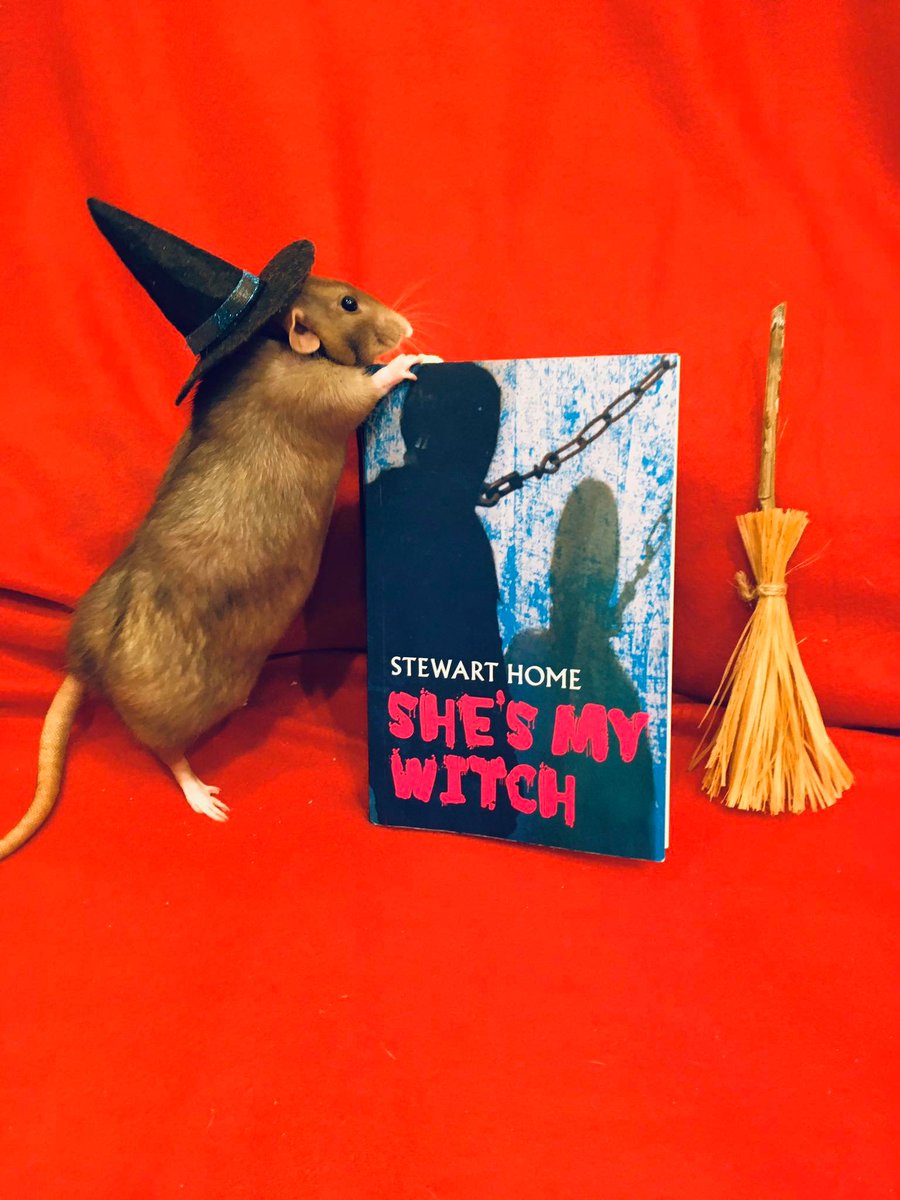 My novel She's My Witch is the best Halloween read ever! Buy it direct from the publisher here: london-books.co.uk/she-s-my-witch