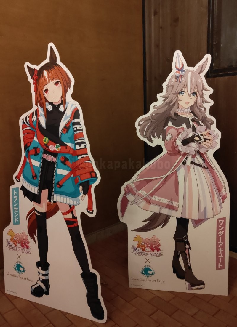 pakapakakobo's tweet image. 【ダービー馬エイシンフラッシュが種牡馬を引退】
🐴トランセンド「ヴェルサイユの楽園へようこそ！」
🐴ワンダーアキュート「よく来たね熱いお茶でも飲むかい？」

🐎エイシンフラッシュ「暮らしていたスタリオン（アロースタッド）は違うのに、落ち着くわね…何故かしら？」

 ※掲載許可済み