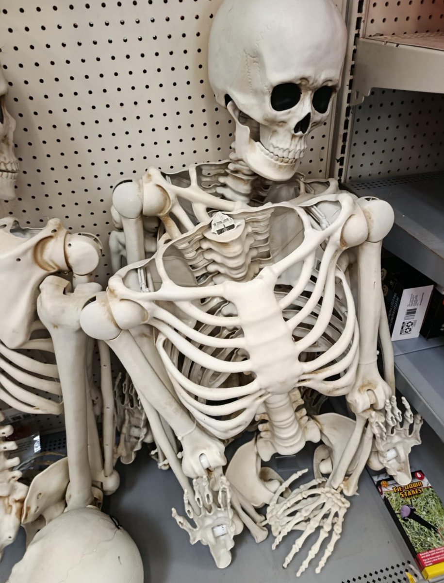 _Kriptopia's tweet image. GM, HAPPY HALLOWEEN SPOOKY🎃
The Currency of Digital Identity
The @idOS_network token isn’t just another crypto drop, it’s the heartbeat of a new digital ecosystem. Every transaction, every verification, every move inside the idOS network runs through it. It rewards real users,…