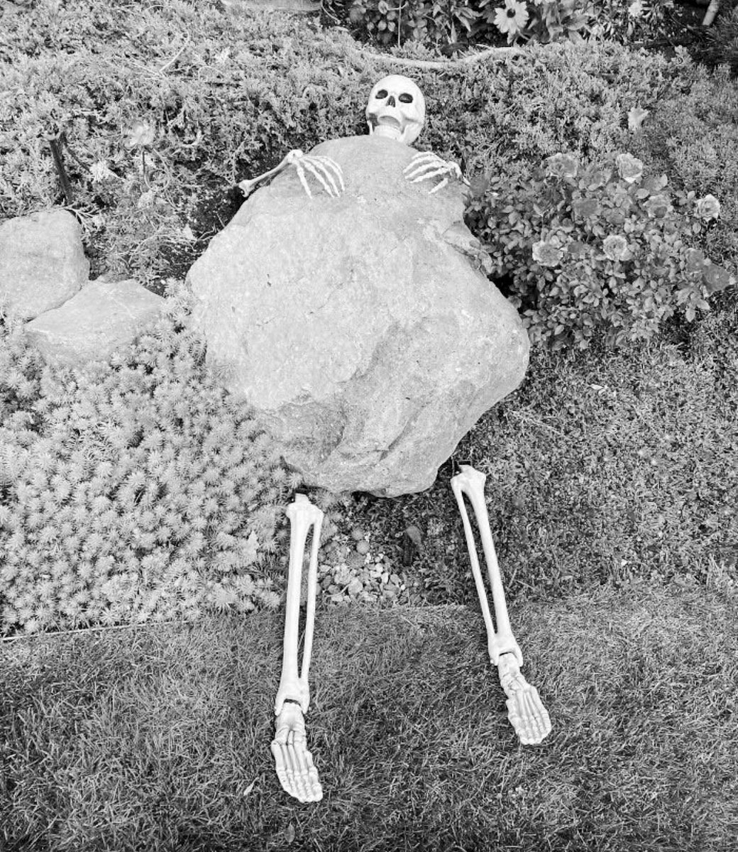 Happy Halloween 🎃 from the Natural Green Gardens family! 
Looking for an autumn garden tidy? Get in touch 📲to arrange a free no obligation quote 🍁🍂 #AutumnGardenCare #autumngardening #autumngardentidy #NorthLeeds