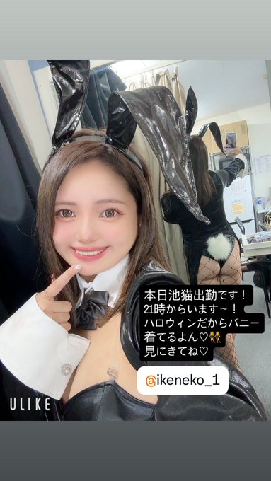 池猫 ~池袋の猫たち~のツイート