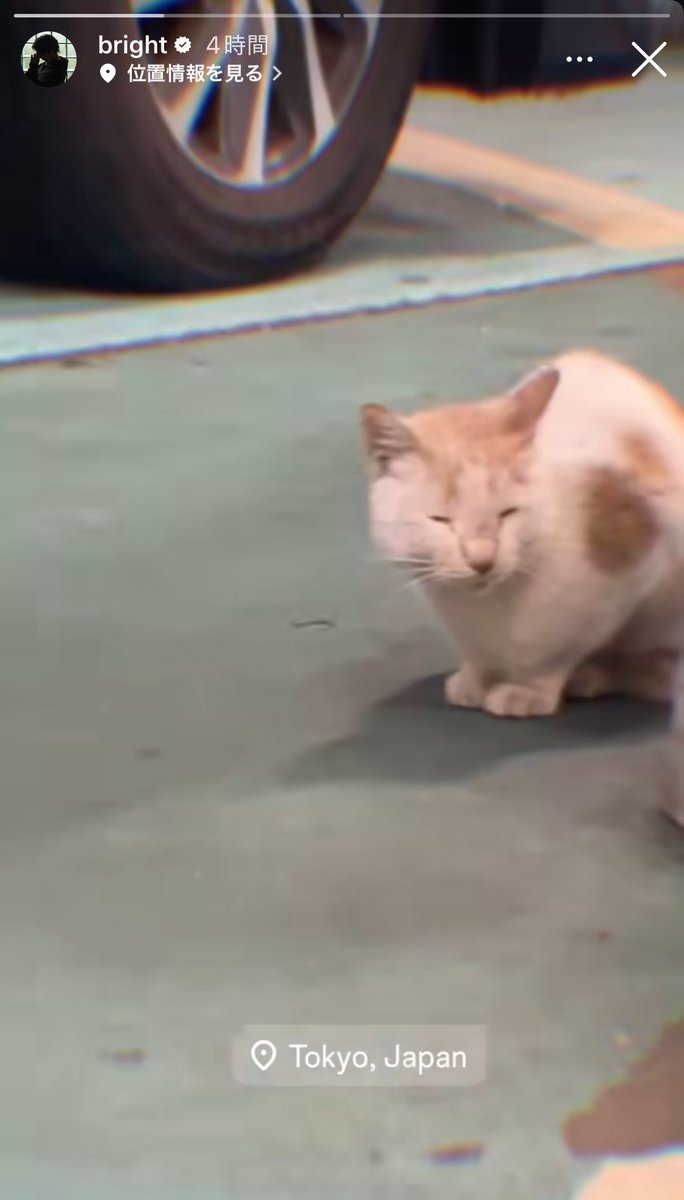 メロンページです。 メロンMelon🍈 on X メロンページです。 メロンMelon🍈 on X