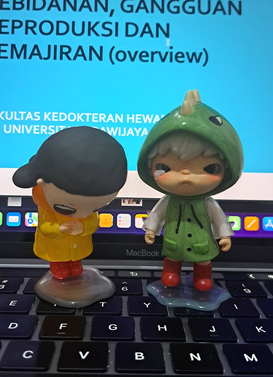 smart cookie tweet media