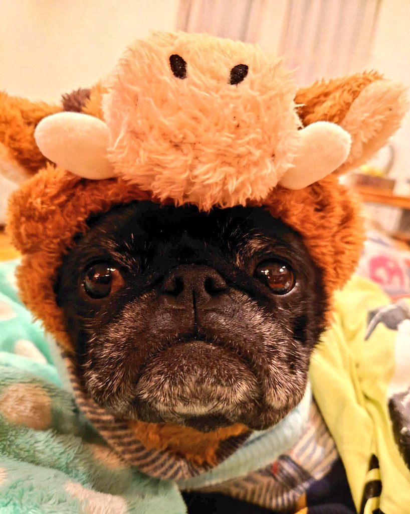 ☕まーくん (@34GTRand35GTR) / Posts / X