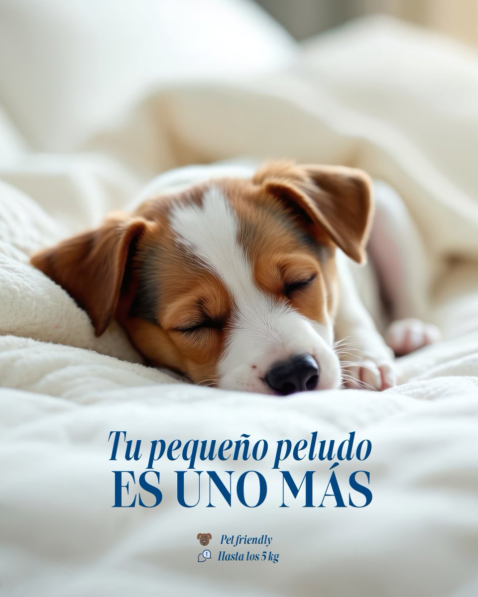 En Gloria Palace Thalasso &amp; Hotels tu mascota también es bienvenida.

Disfruta de la comodidad de nuestra habitación junto a tu compañero de aventuras y vive unas vacaciones inolvidables en Gran Canaria sin dejar a nadie atrás. 🐶💙