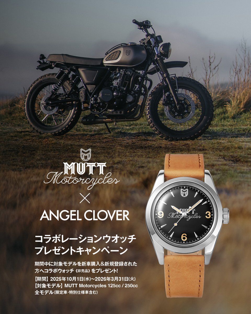 本日限定値下げ！新品　motto_dog 01 / X motto_kuma Neopro Bubblegum | Cat Collar – Zee.Dog