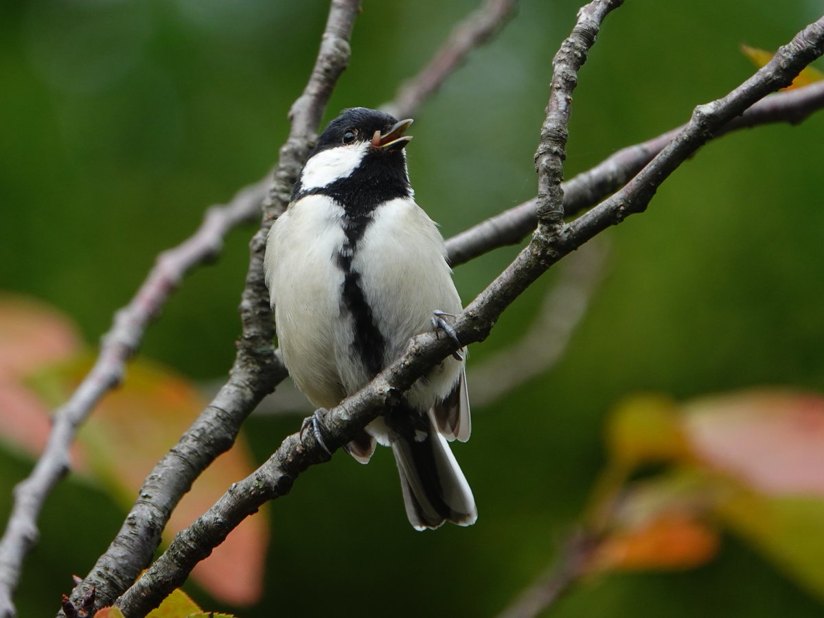 EVNNE Un: SEEN サインポラ ジフ パクジフ EVNNE Un: SEEN サインポラ