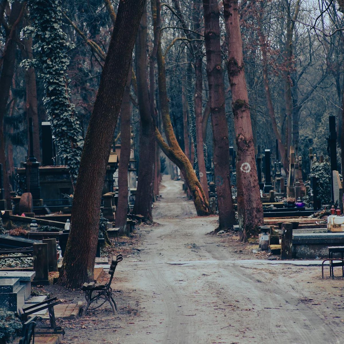 La fiesta de los santos y los difuntos no es una reliquia del pasado ni un negocio de floristerías, es la oportunidad que tenemos la mayoría de las personas de preguntarnos qué significa para nosotros la muerte y cómo le queremos dar respuesta. Es el momento de recordar de forma