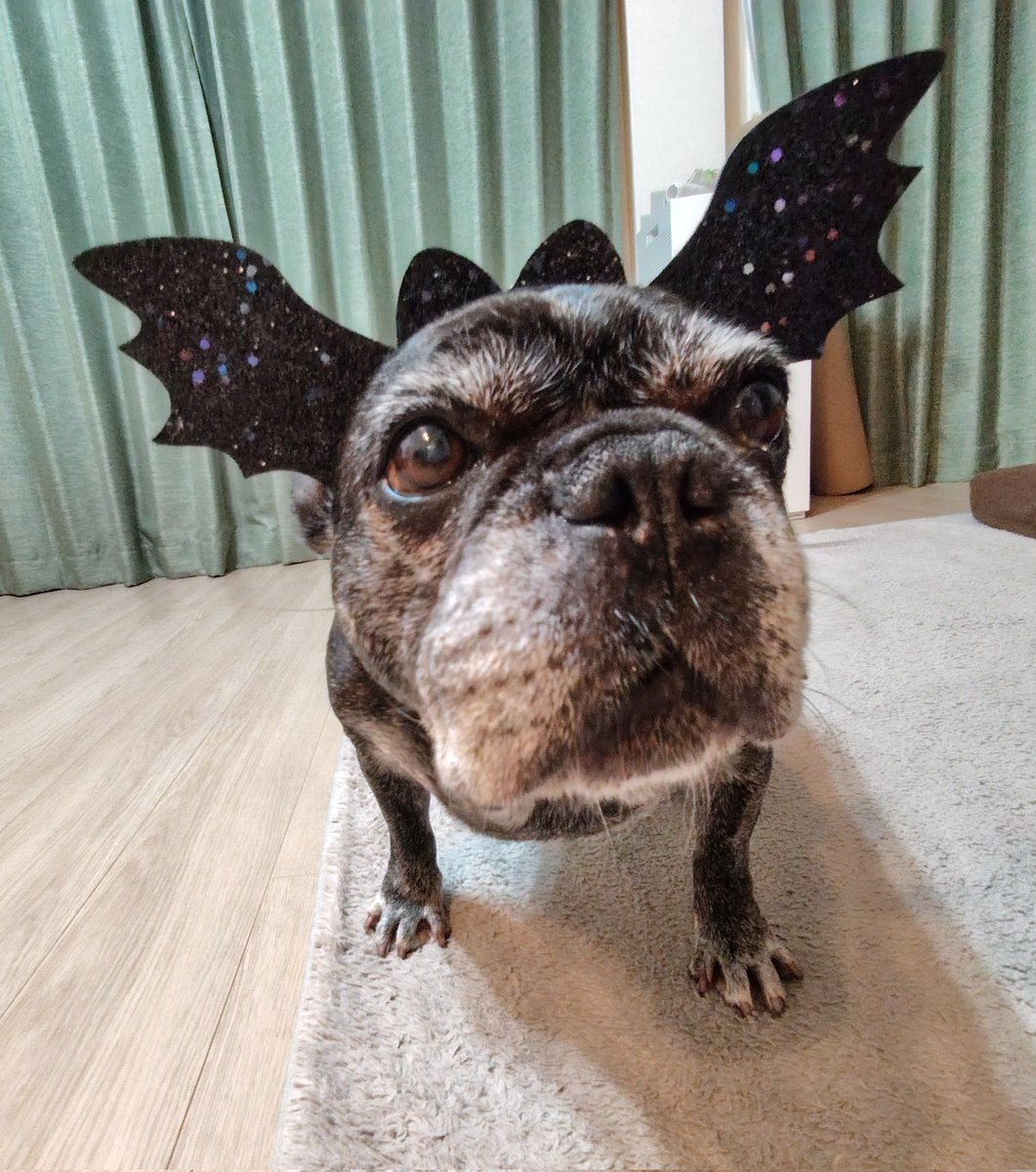 はるかす様♥️フレンチブルドッグ 印鑑スタンド はるかす様♥️フレンチブルドッグ 印鑑スタンド