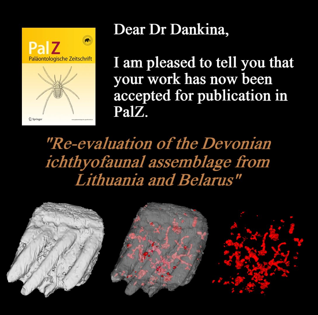 DarjaDankina's tweet image. 🐟 Accepted in PalZ! 🐠 
&quot;Re-evaluation of the Devonian ichthyofaunal assemblage from Lithuania and Belarus&quot; 
🔹 A fresh look at the fossil fish of the Devonian seas 🌊 🌞🎊

#Fossil #fossilfriday #devonian #fish #Article
#paper #news #fridayfeels