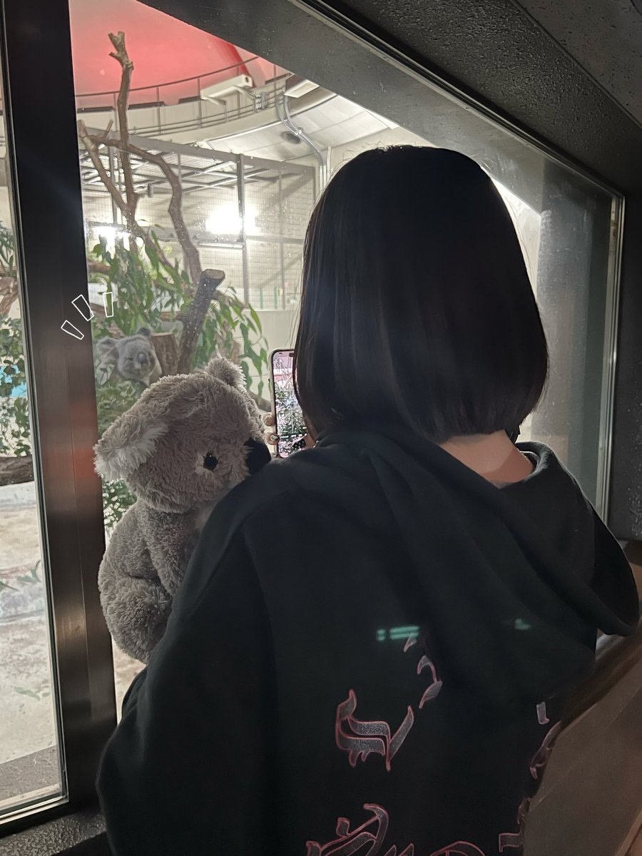 難波碧空 リルパンダ 難波碧空アンバサダー🐨🍼 (@na_ncha_n) / Posts / X